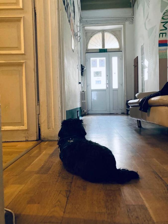 Black Dog Hostel Budapest Ngoại thất bức ảnh
