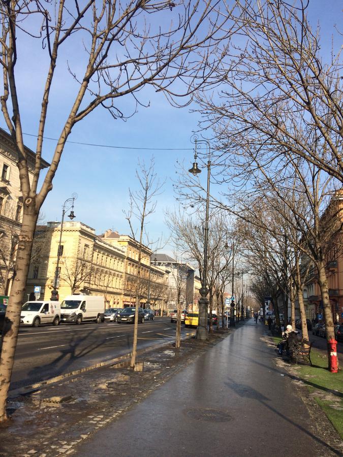 Black Dog Hostel Budapest Ngoại thất bức ảnh