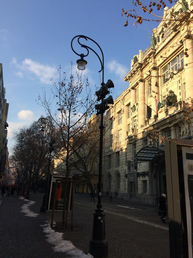Black Dog Hostel Budapest Ngoại thất bức ảnh